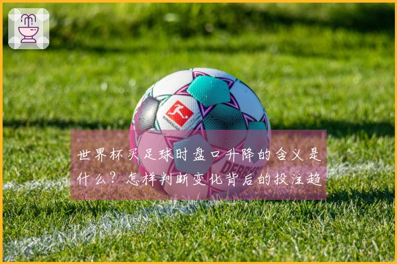 世界杯买足球时盘口升降的含义是什么？怎样判断变化背后的投注趋势？