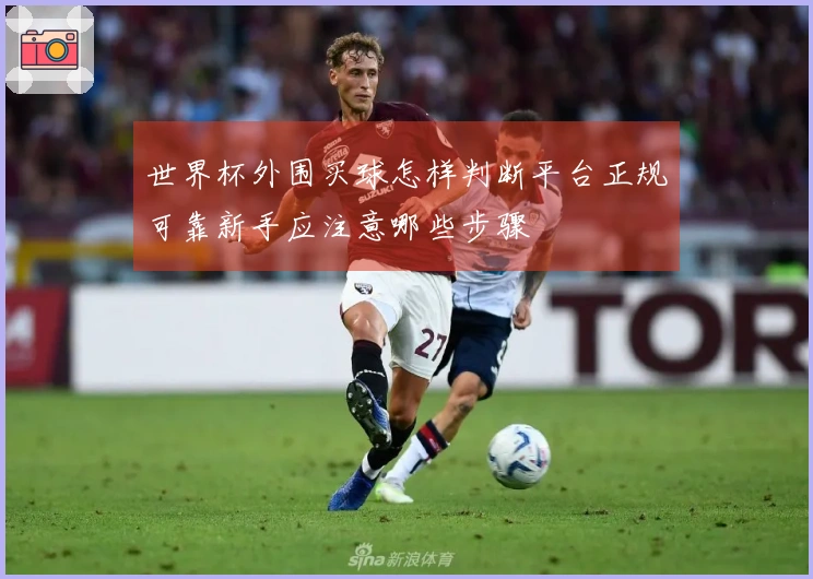世界杯外围买球怎样判断平台正规可靠新手应注意哪些步骤